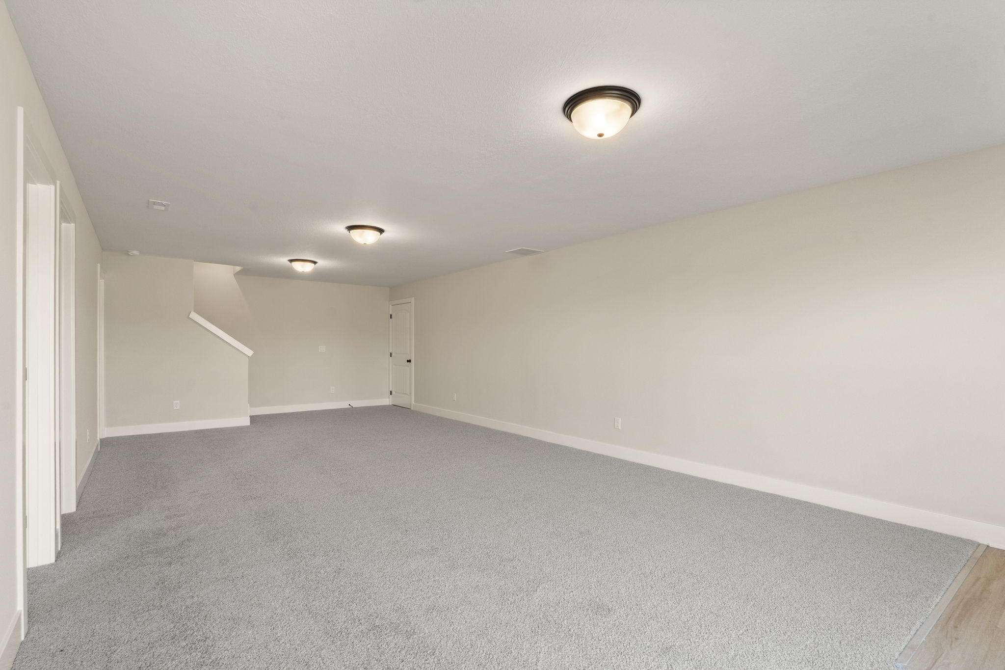 large-01993dde-06f7-71d8-92e7-6d995c5faee6