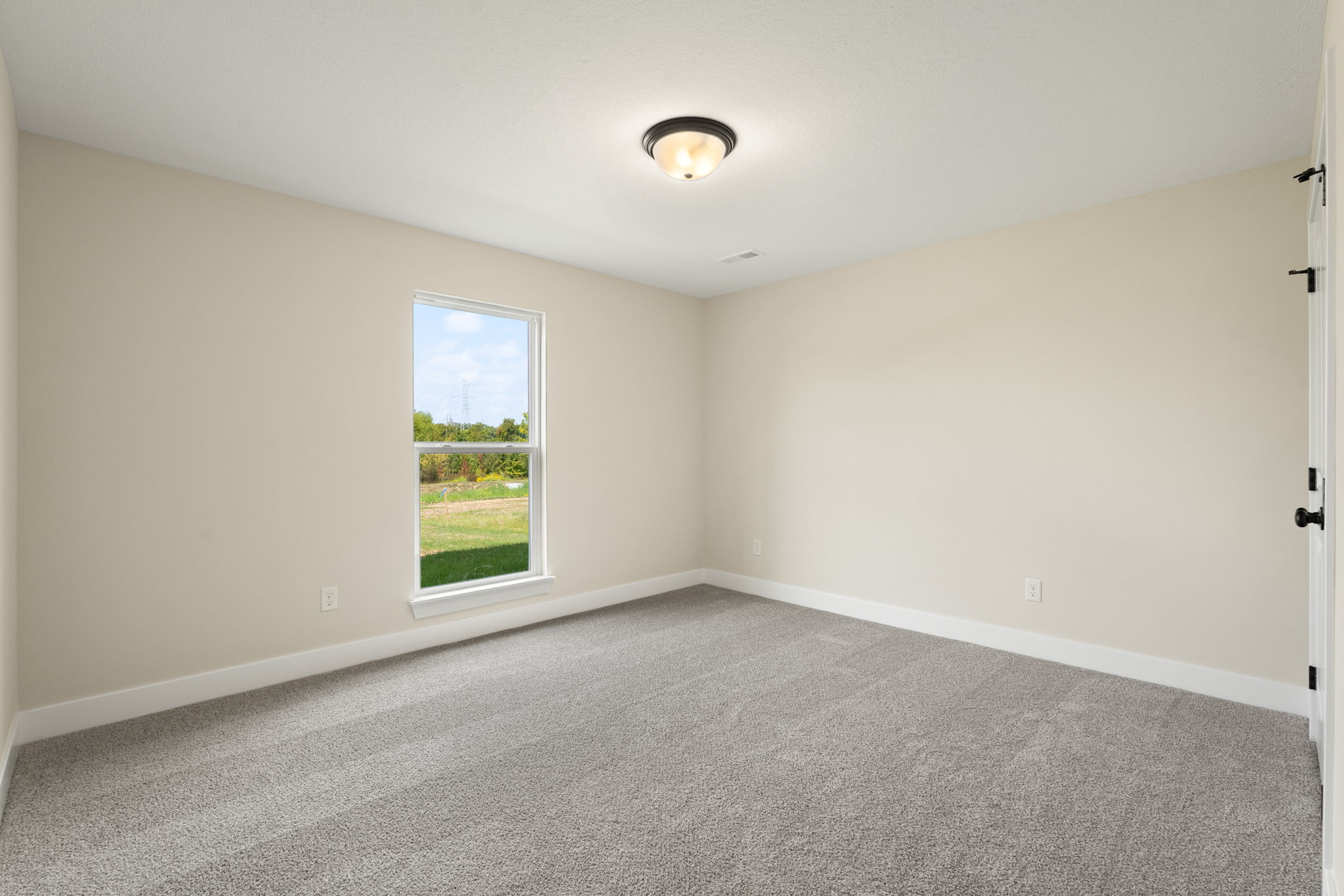 large-019957bf-659b-7279-b0df-e27d38fa116a