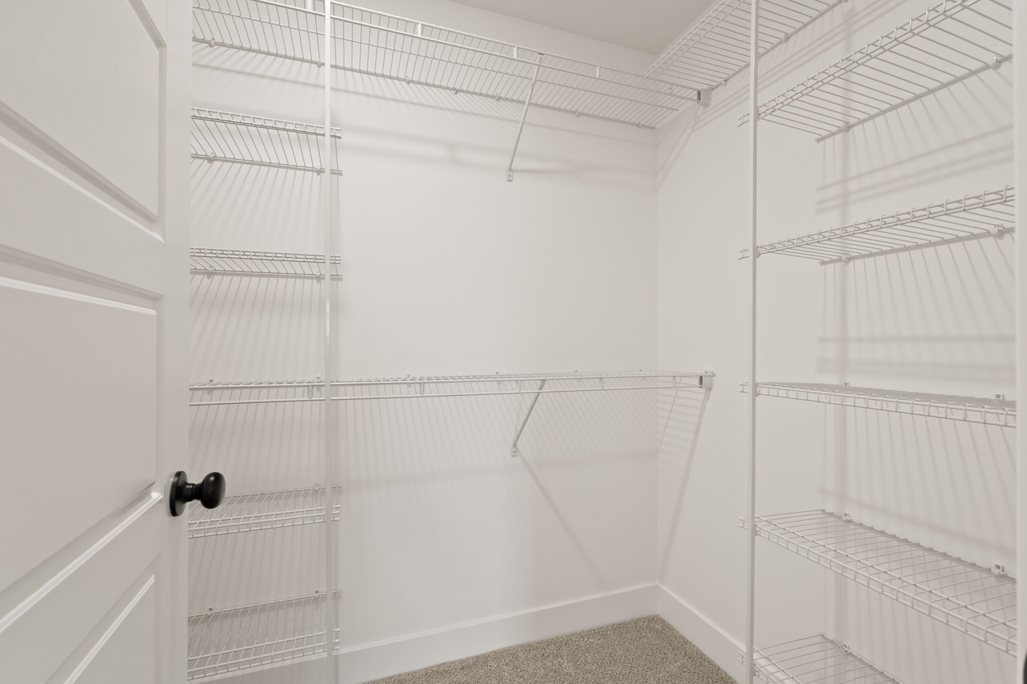 large-0199807f-5ecc-7096-9805-84087a6915e5