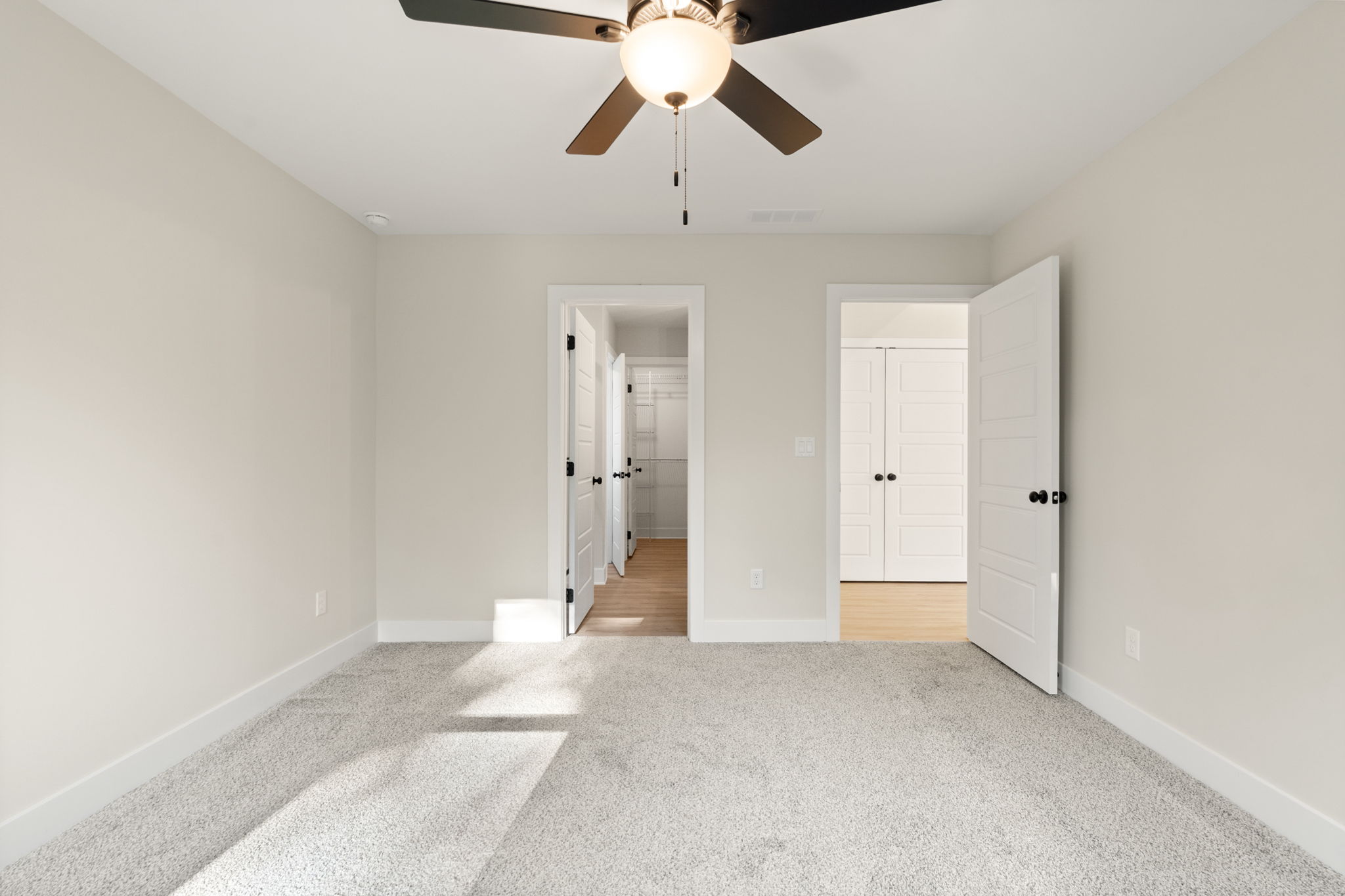 large-0199e73d-0648-73d7-9d1d-4fc51736358b