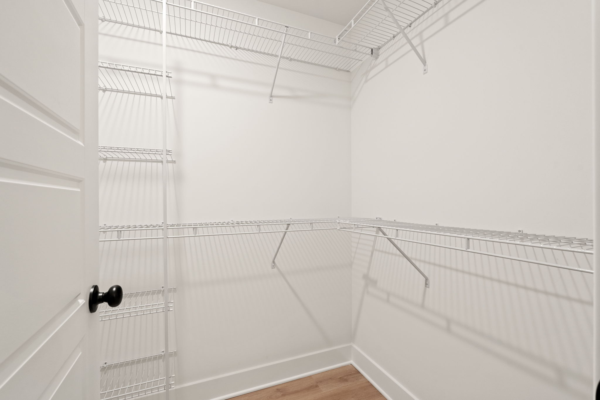 large-0199e73d-070e-7131-8d9c-5f481a1127db