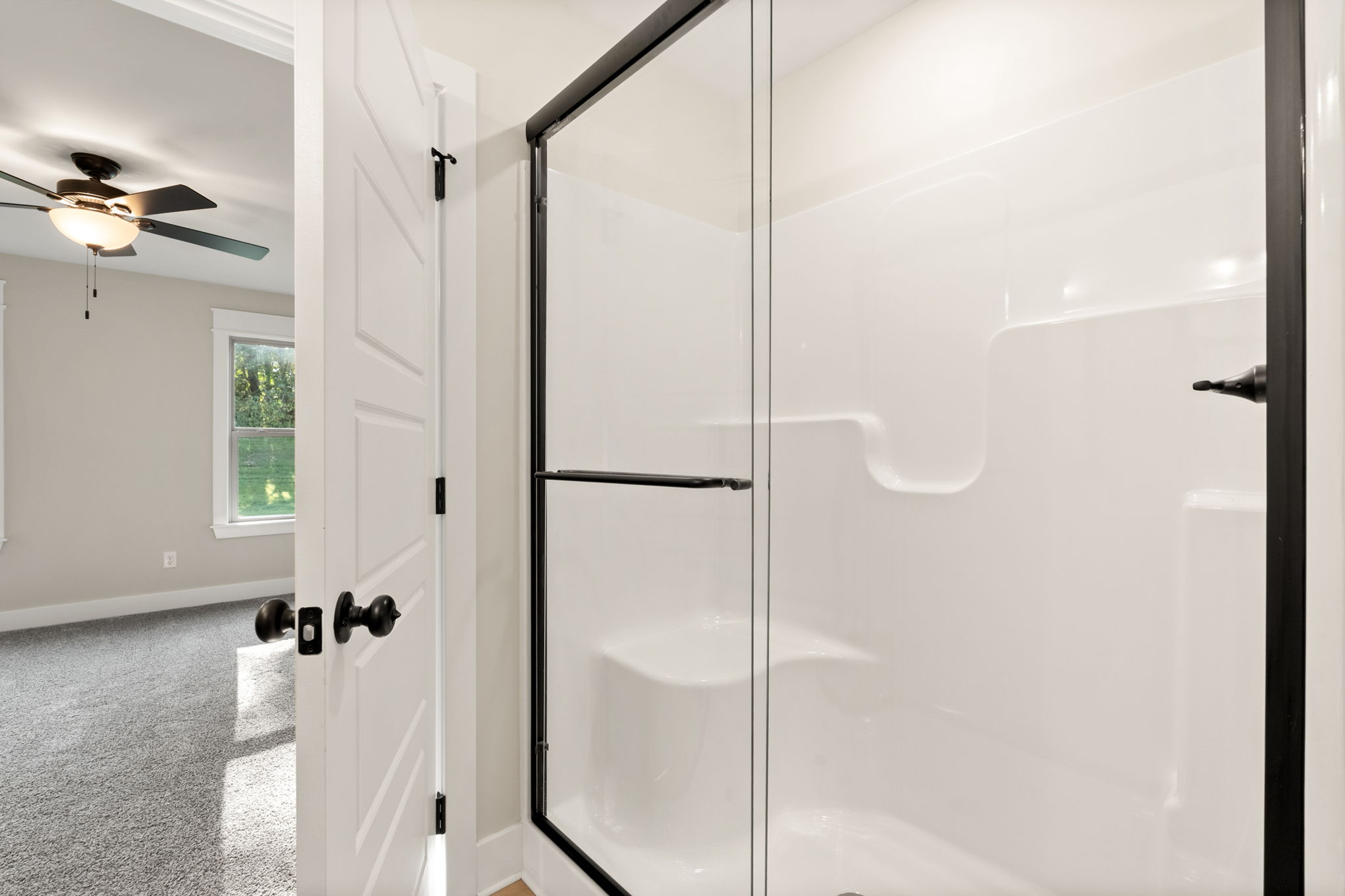 large-0199e73d-0746-71c0-8412-75a4c3a47ded