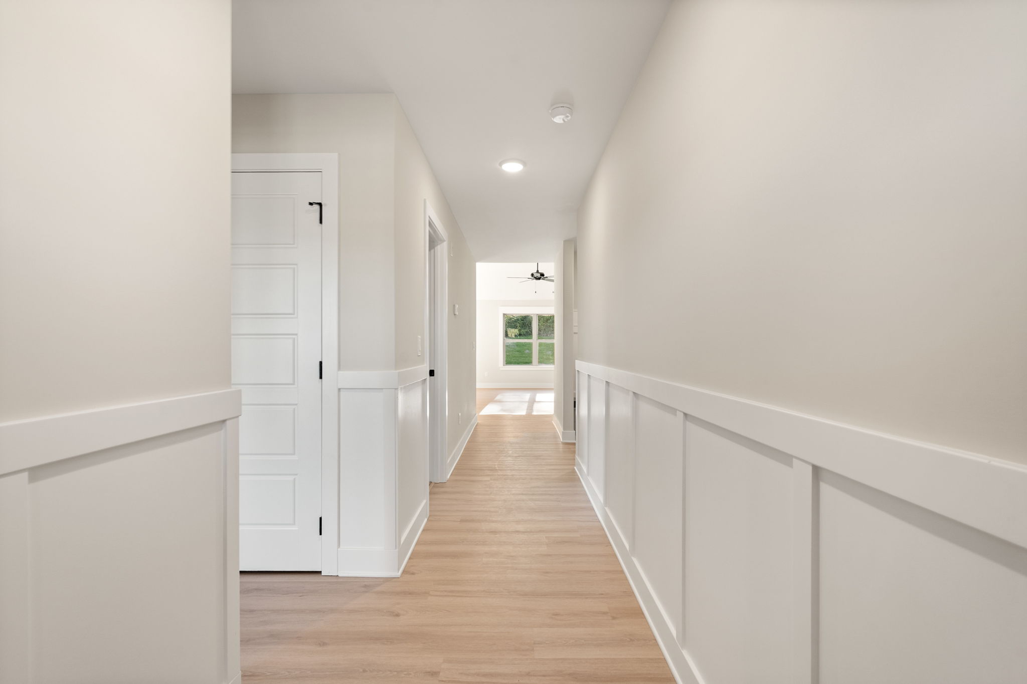 large-0199e73d-0b05-70d3-8658-f797862cdbf6