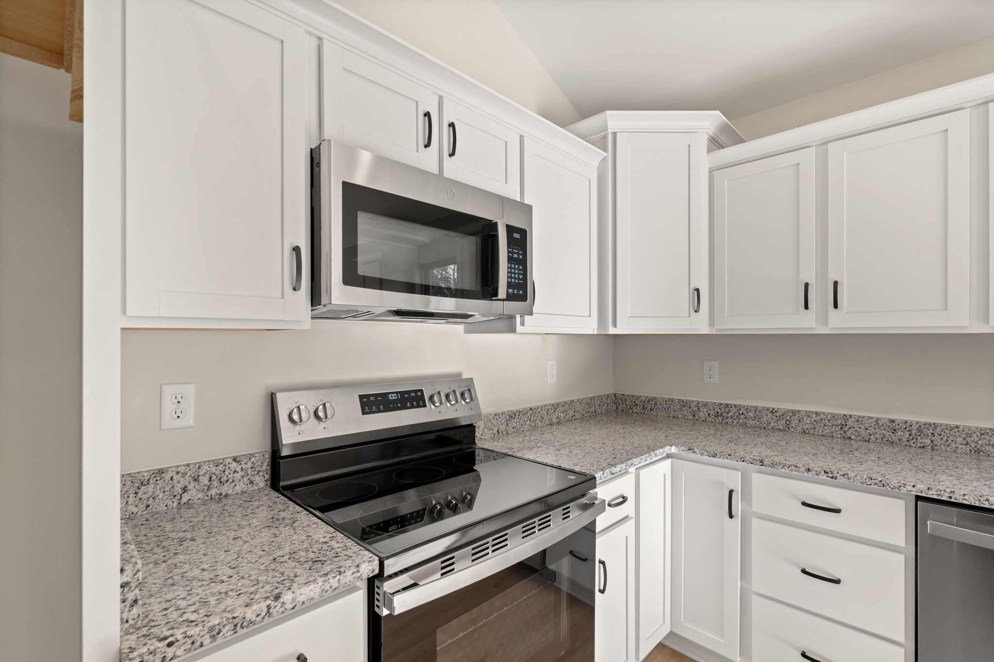 large-0199e73d-0e13-7384-a058-3e28064ab2e7