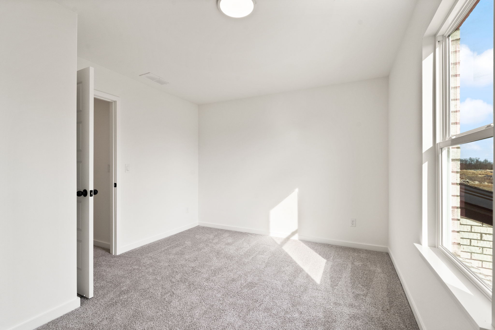 large-019ba75d-68c3-70ca-9546-ea8235afd0da