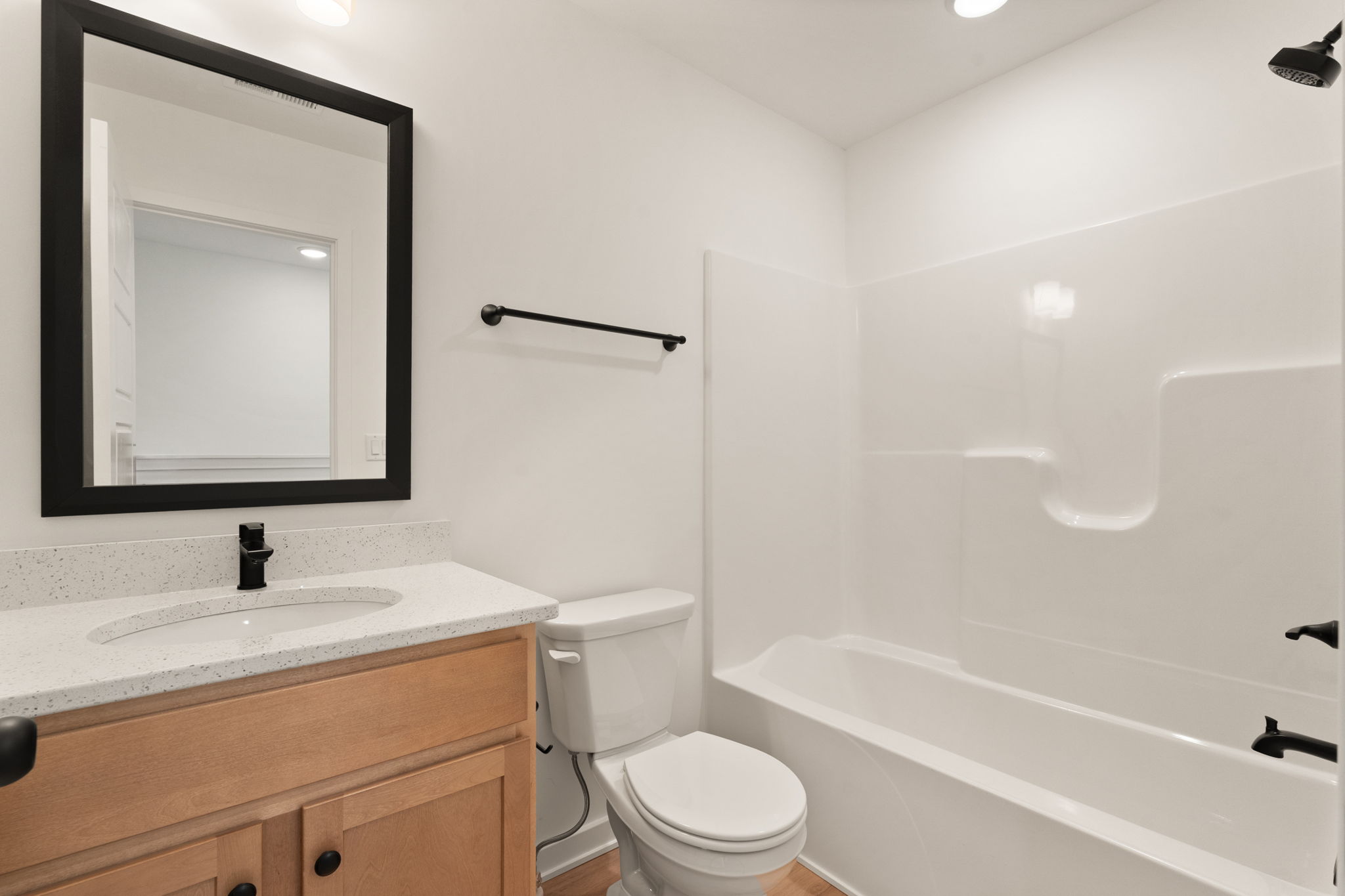 large-019ba75d-68e8-722c-addc-76c928f4d1df