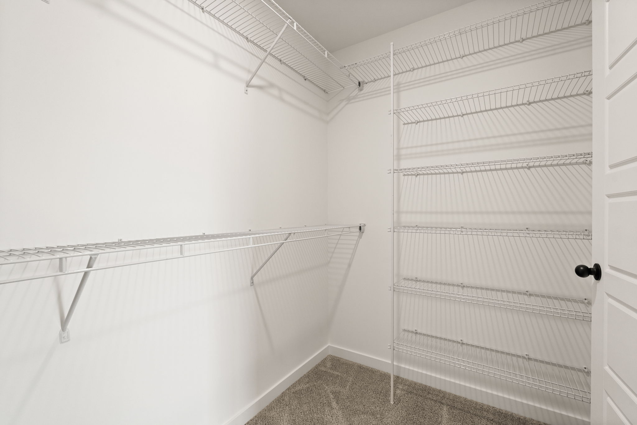 large-019ba75d-6eae-726d-994f-078b53cf666c