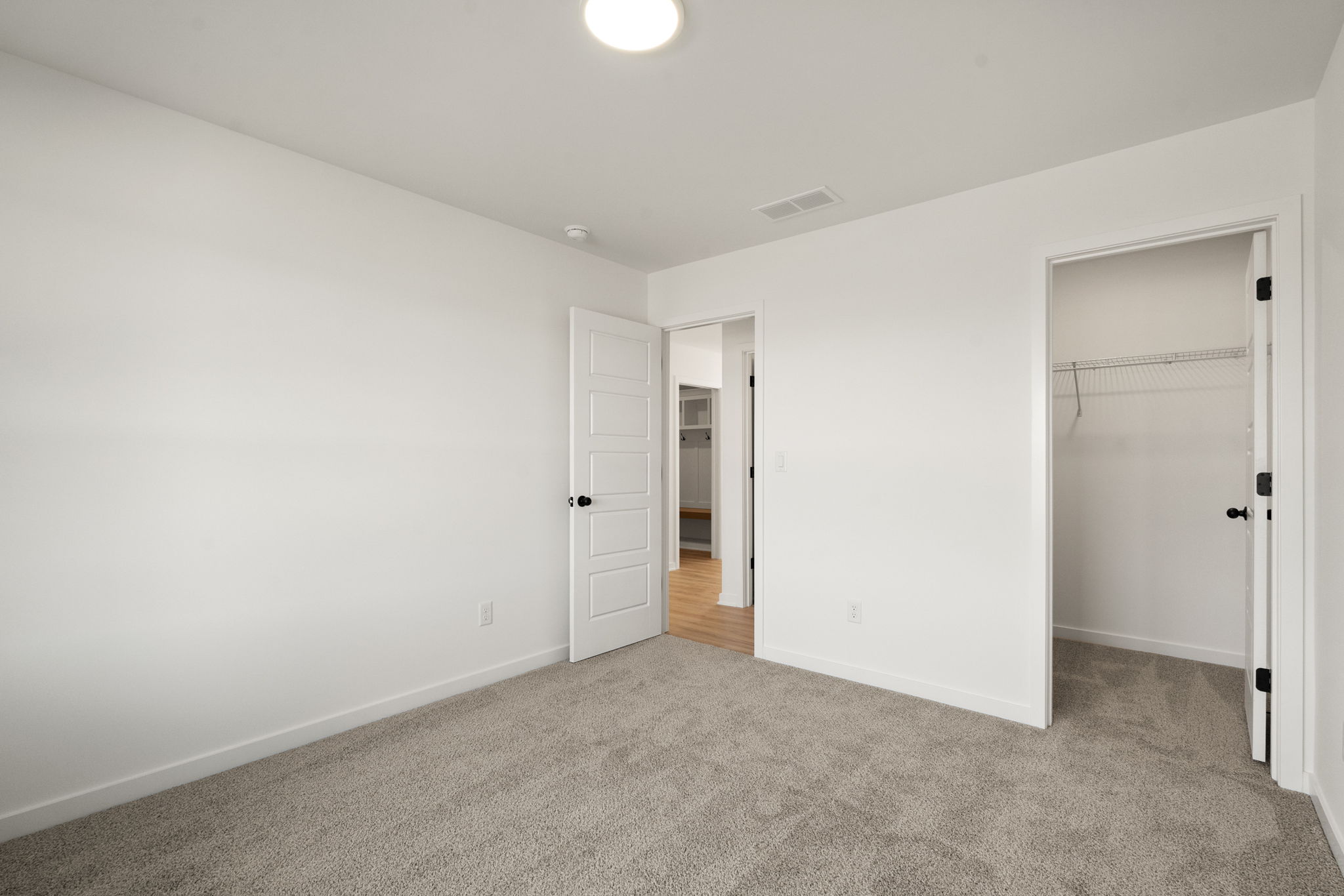 large-019ba75d-6efb-737d-a948-7e74ebfb645b