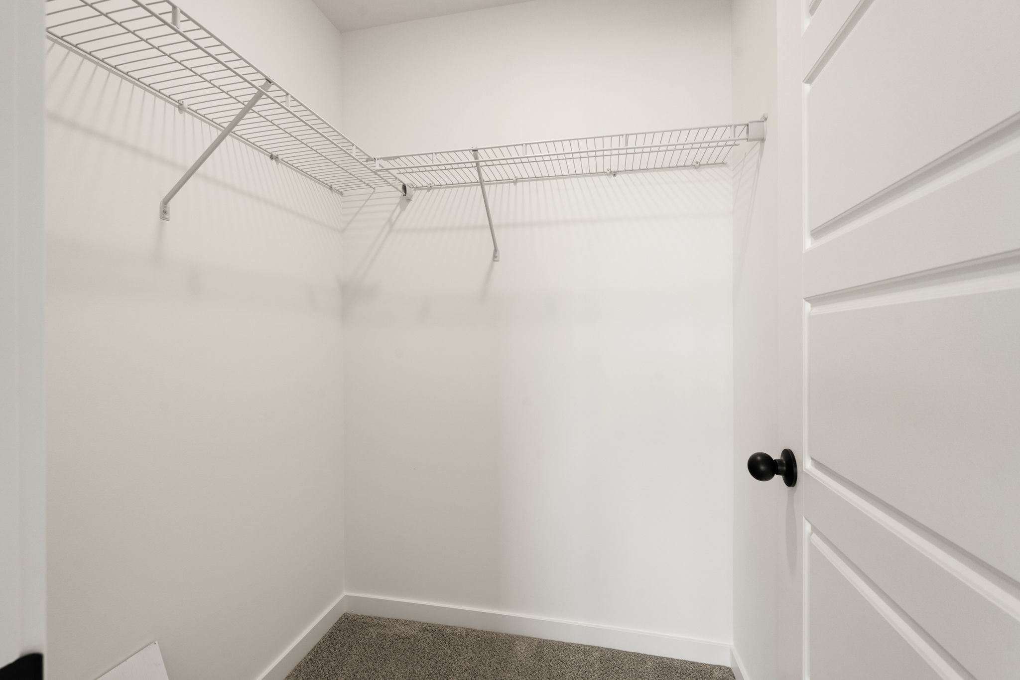 large-019ba75d-6f1b-7177-b871-4d01ee207145