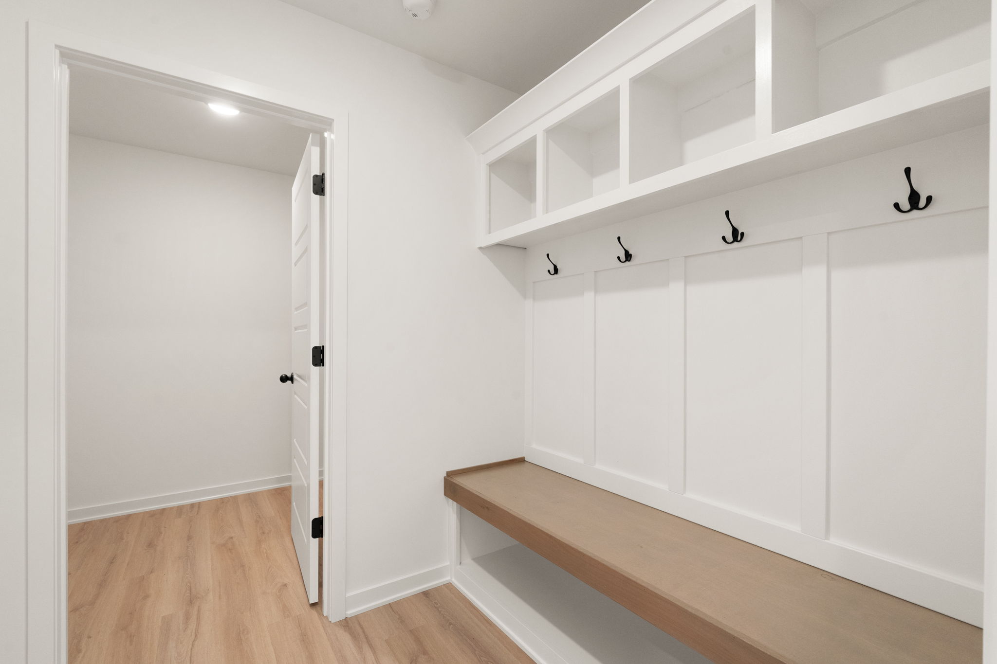 large-019ba75d-6f97-716c-9133-7642448c7772