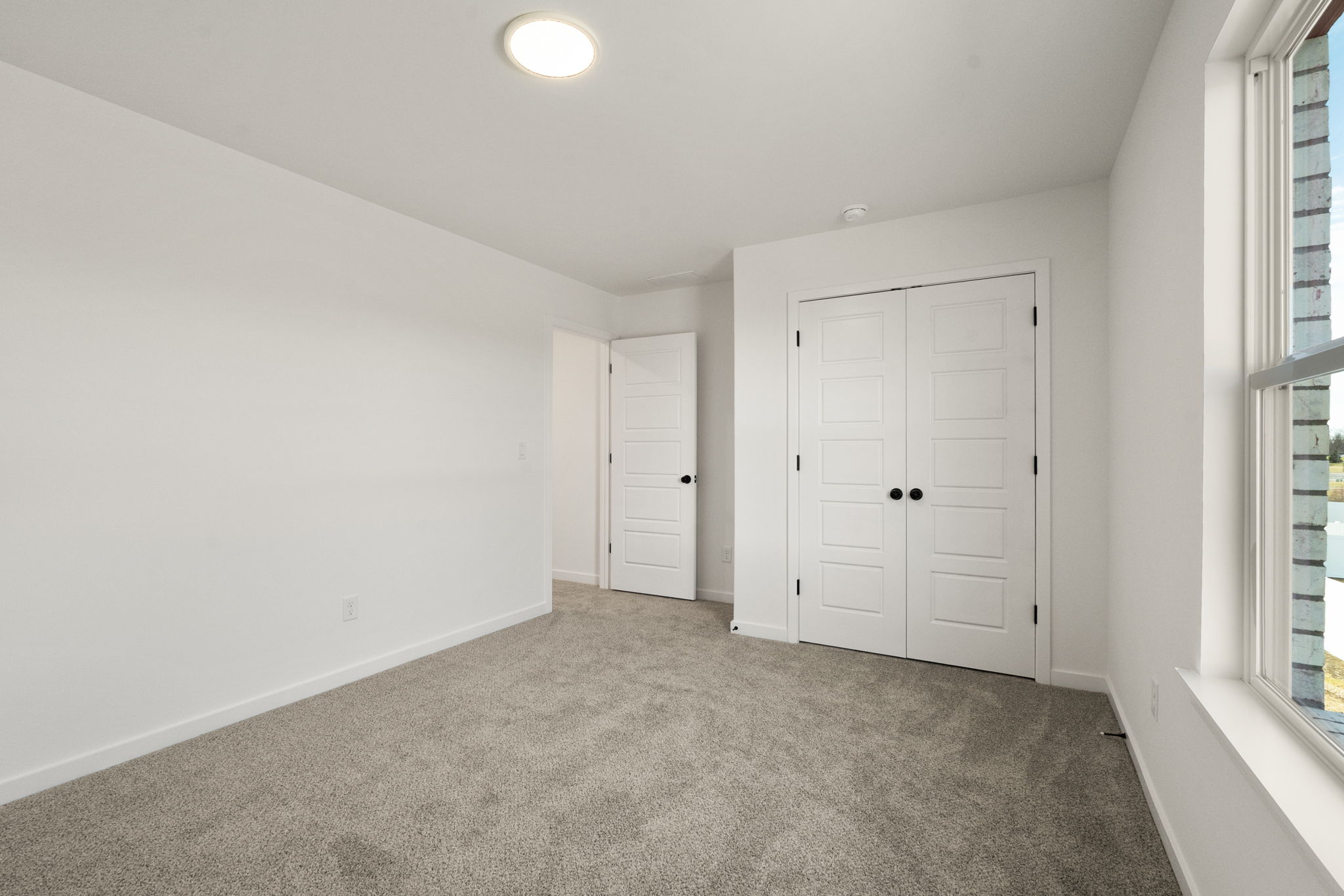 large-019ba75d-7034-732b-b739-ab6e5715f332